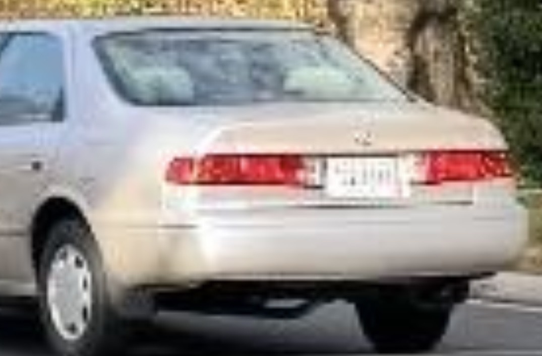 Processed image with license plate annotations