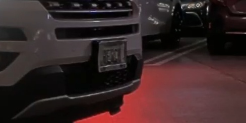 Processed image with license plate annotations