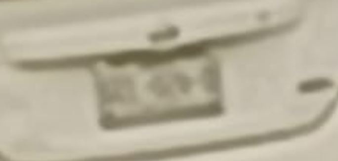 Processed image with license plate annotations