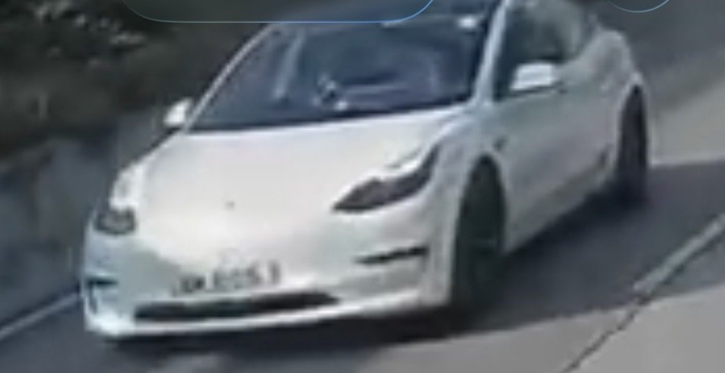 Processed image with license plate annotations