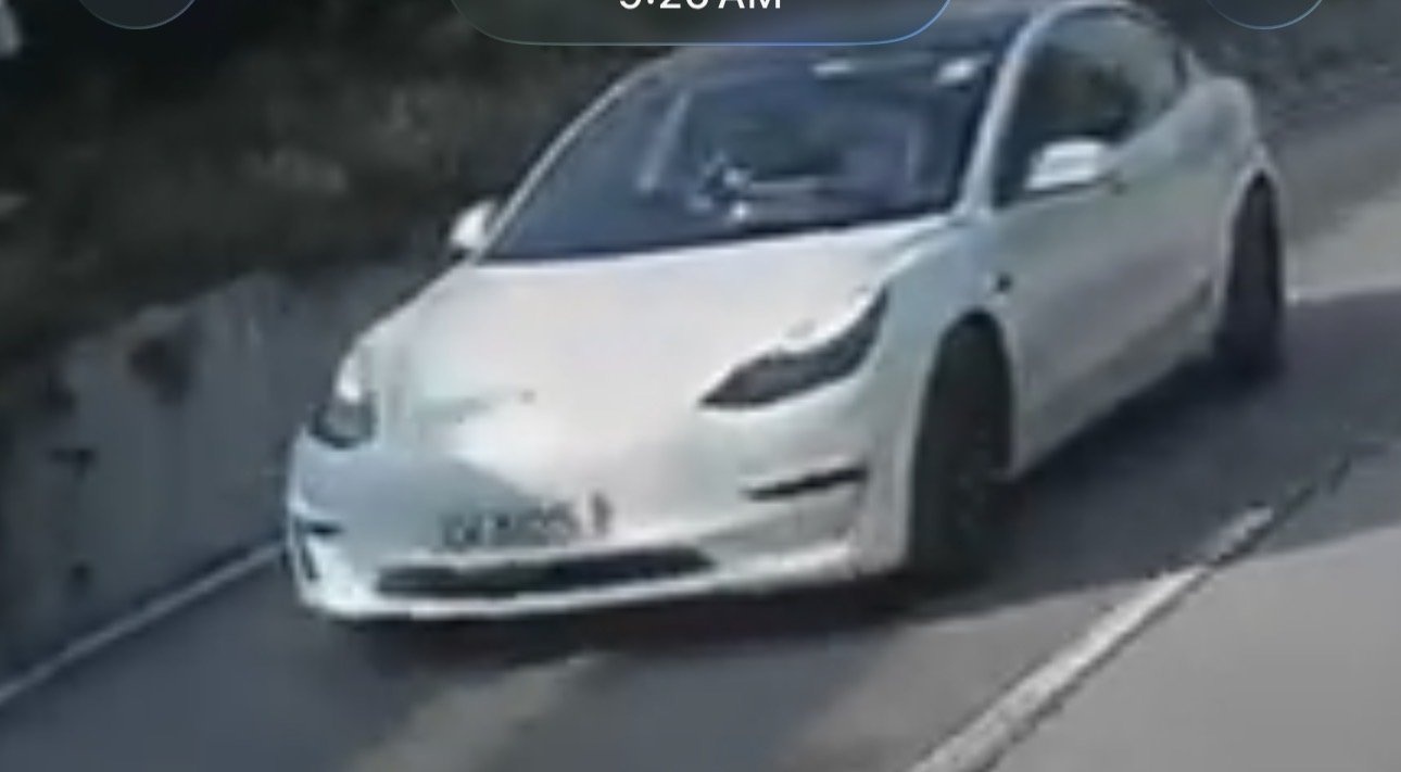 Processed image with license plate annotations