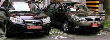 Processed image with license plate annotations