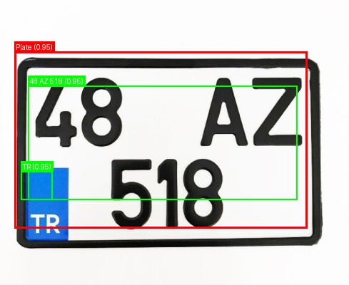 Processed image with license plate annotations
