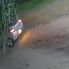 Processed image with license plate annotations