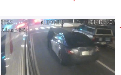 Processed image with license plate annotations