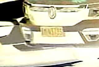 Processed image with license plate annotations