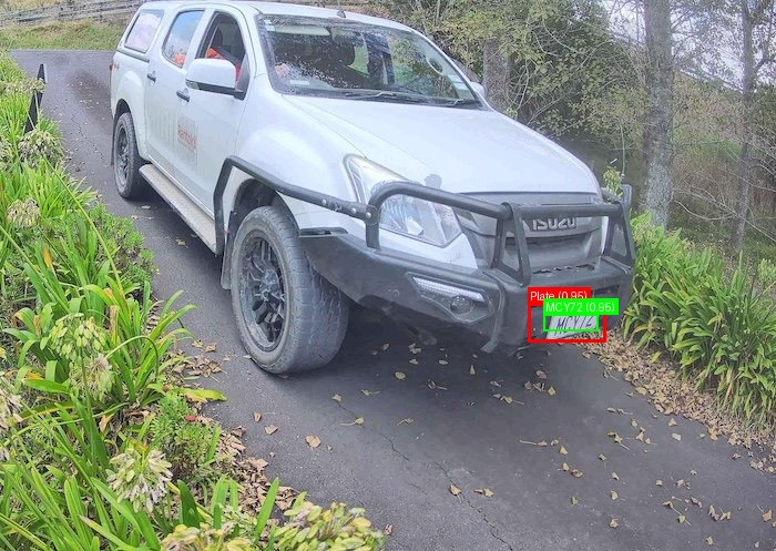 Processed image with license plate annotations