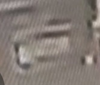 Processed image with license plate annotations