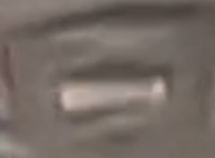 Processed image with license plate annotations