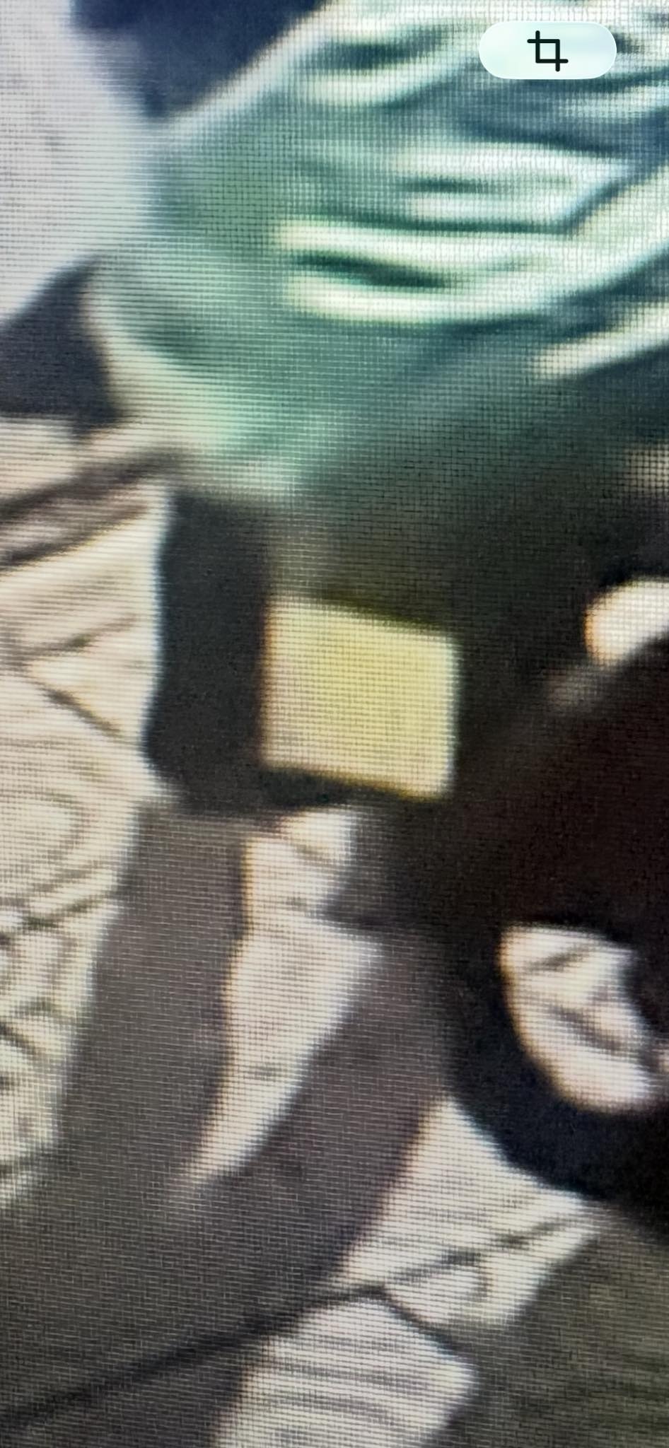 Processed image with license plate annotations