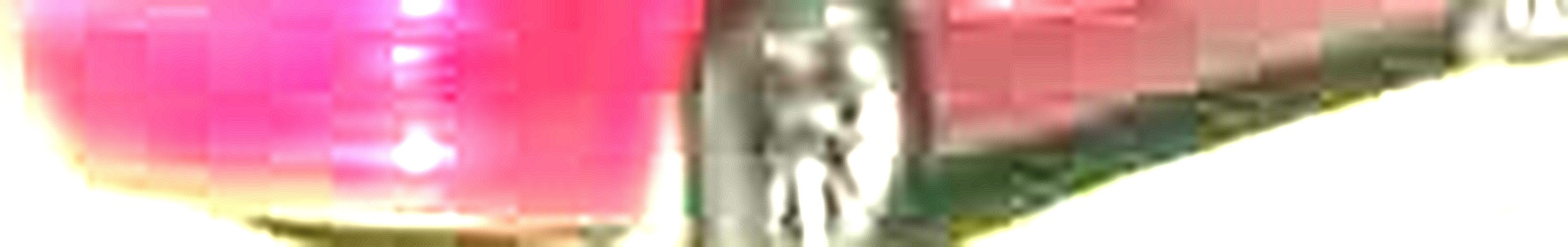 Processed image with license plate annotations