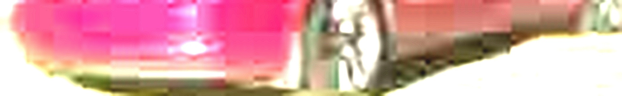 Processed image with license plate annotations