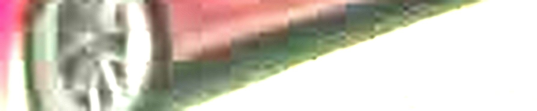 Processed image with license plate annotations